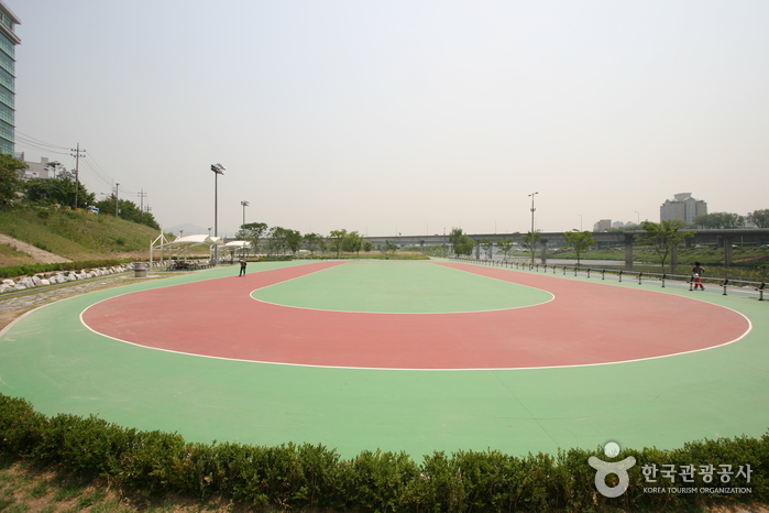살곶이체육공원 인라인스케이트장 1.jpg