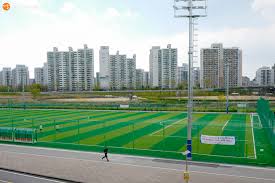 안양천체육생태공원 축구장 1.jpg