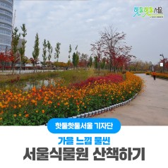 서울 식물원에서 가을 느낌 물씬 나는 산책이미지