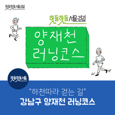 [서울걷길] 강남구 양재천 코스이미지