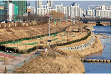 안양천좌안파크골프장.png