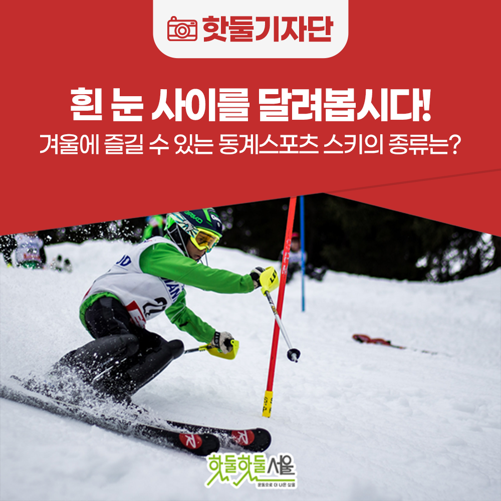 흰 눈 사이를 달리다! 겨울에 즐길 수 있는 스키의 종류는?이미지