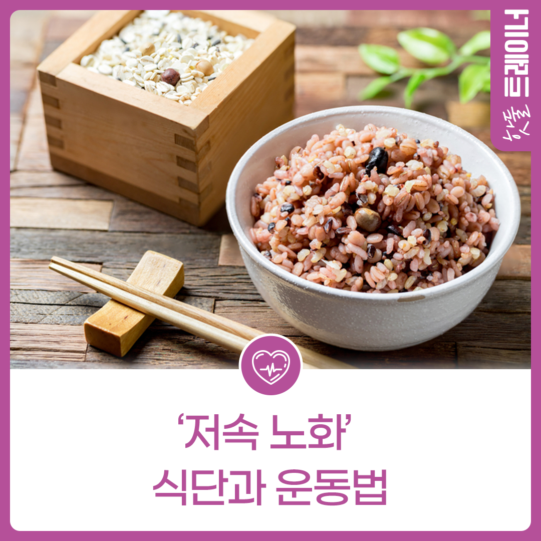 건강하게 나이 드는 비결, ‘저속 노화’ 식단과 운동법이미지