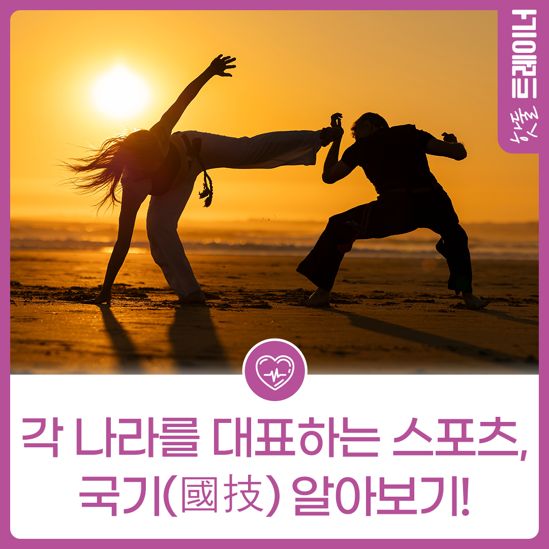 각 나라를 대표하는 스포츠, 국기(國技) 알아보기!이미지