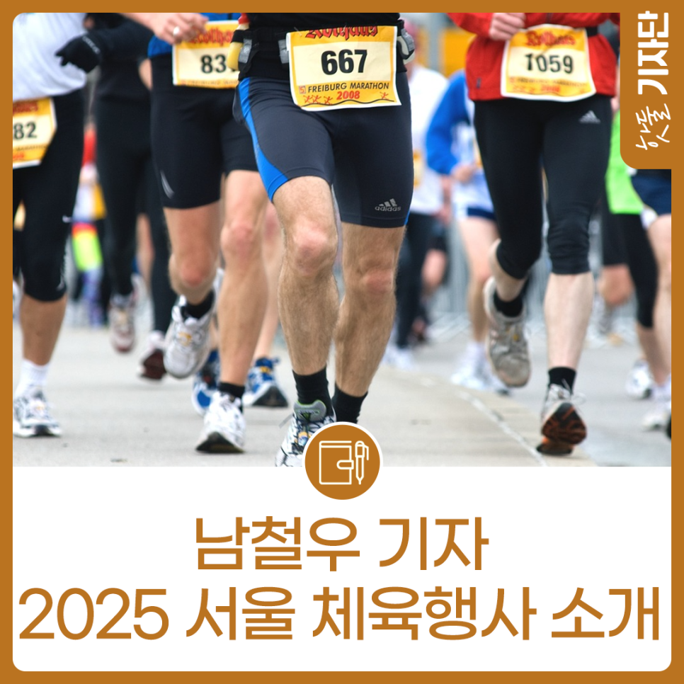 서울시에서 열리는 대표적인 체육 행사와 참여 방법이미지