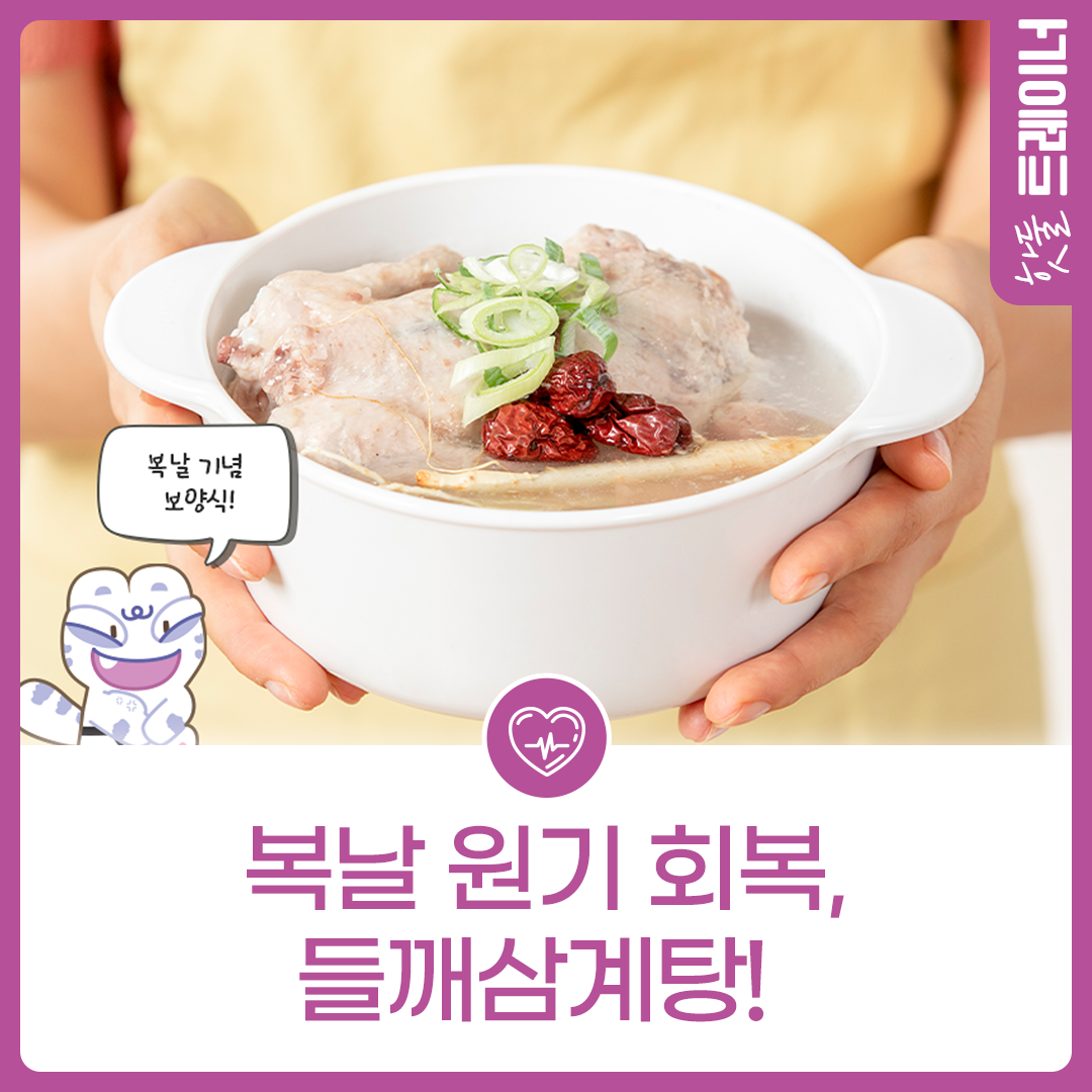 [식단네컷] 진한 국물로 원기 회복, 들깨삼계탕!이미지