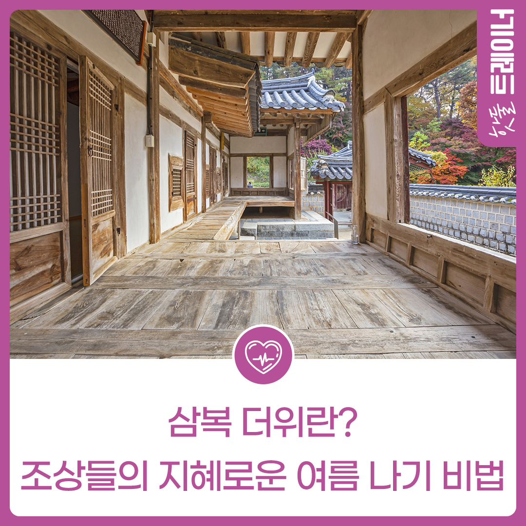 삼복 더위란? 조상들의 지혜로운 여름 나기 비법이미지