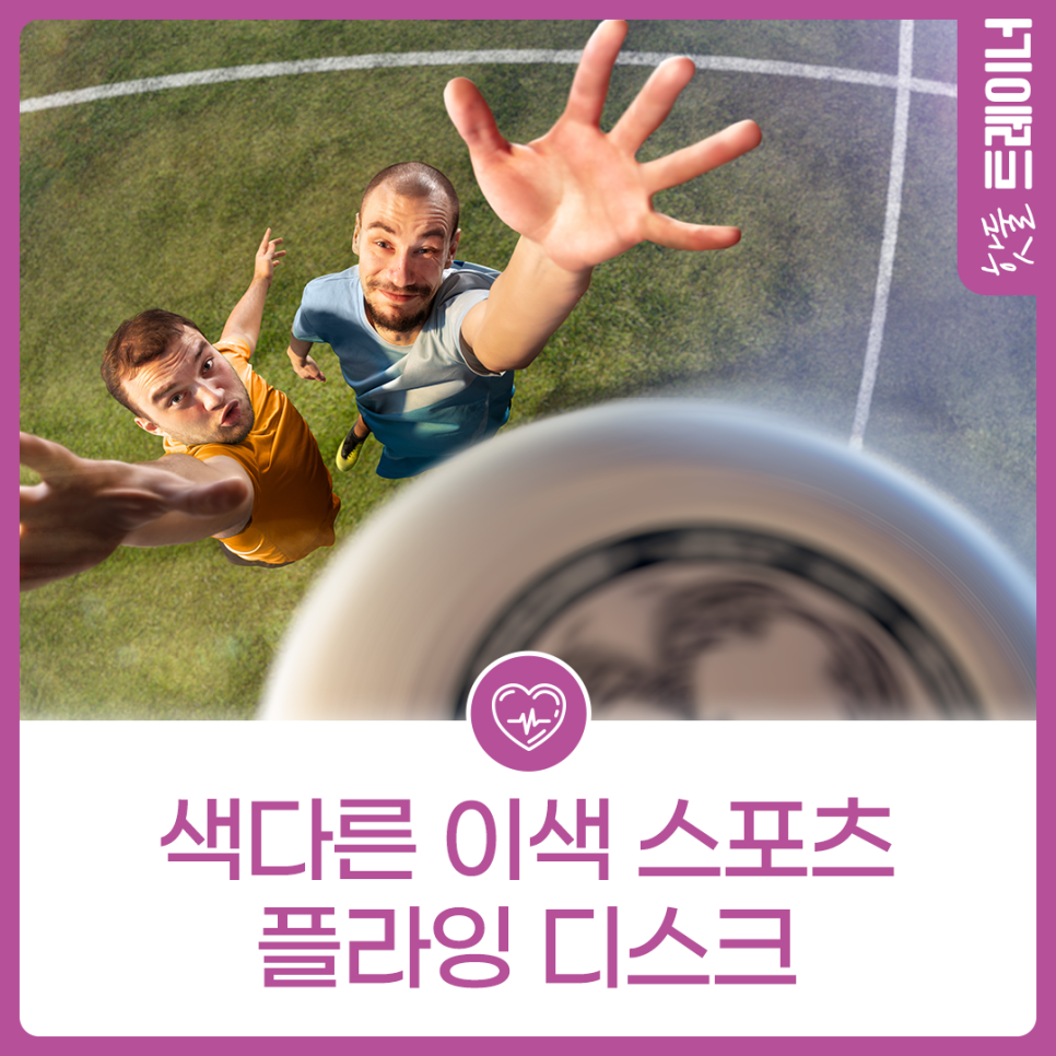 색다른 이색 스포츠 -플라잉 디스크-이미지
