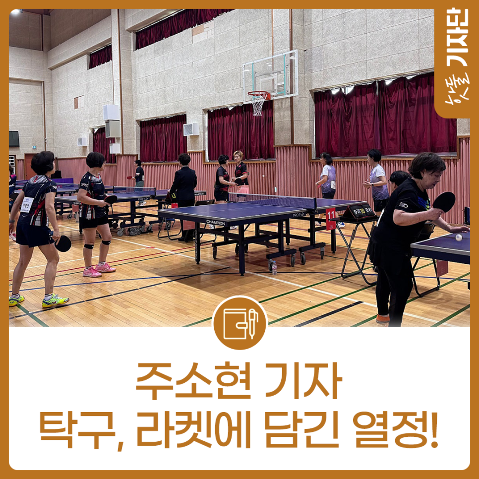 누구나 즐길 수 있는 탁구! 서울시민체육대축전에서 함께해요~!이미지