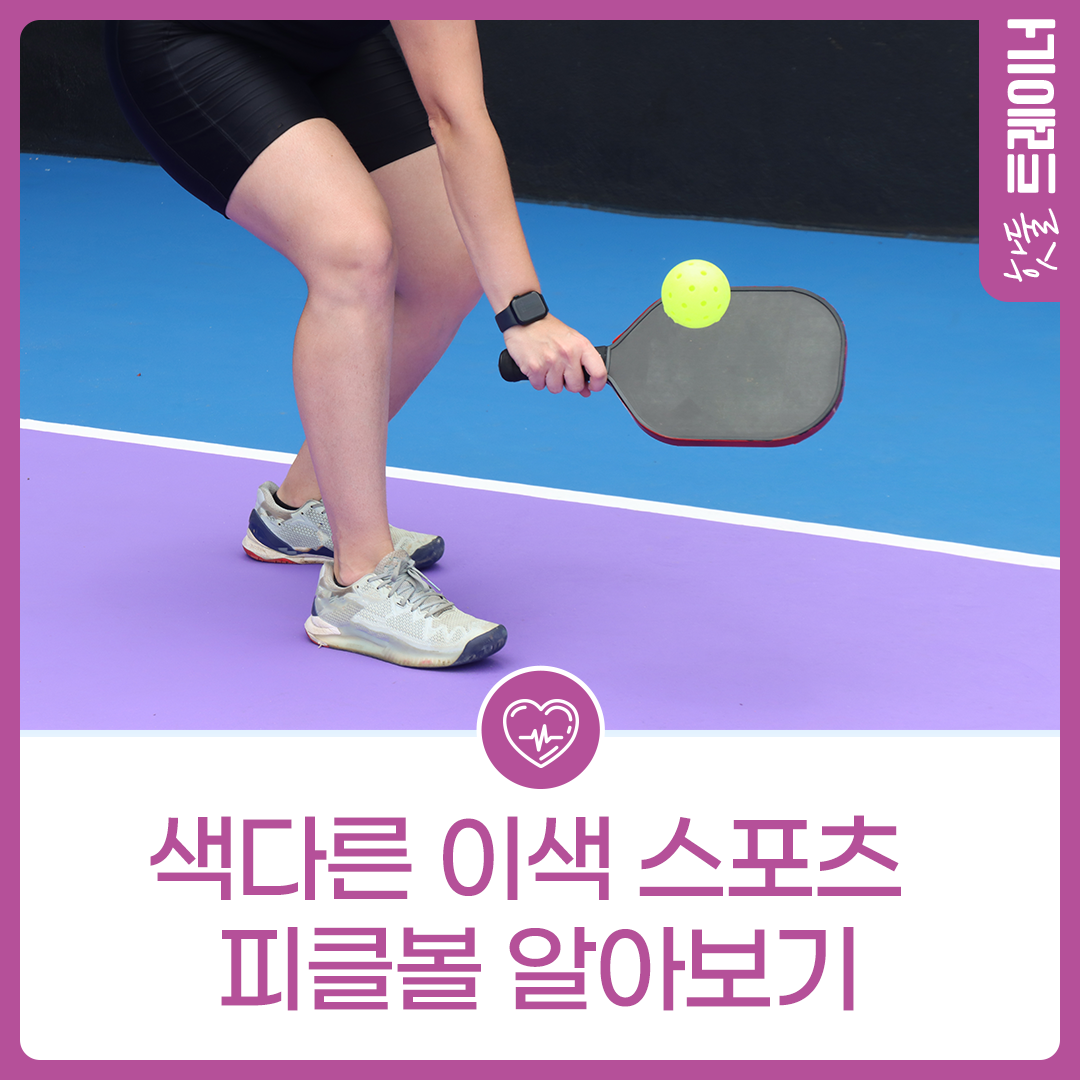 색다른 이색 스포츠 -피클볼-이미지
