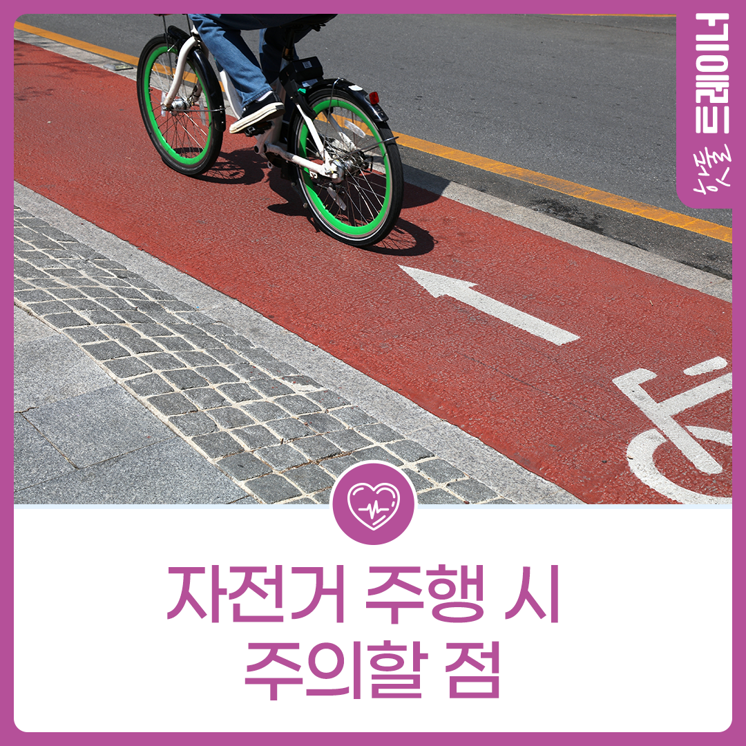 따릉이, 어디로 달려야 할까? 자전거 주행 시 주의할 점이미지