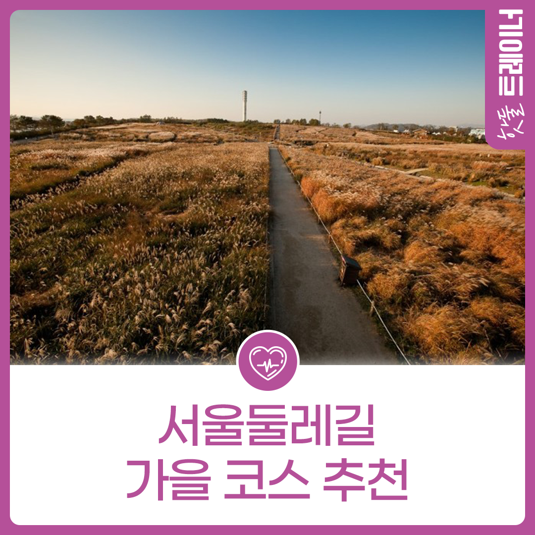 서울둘레길 가을 코스 추천이미지