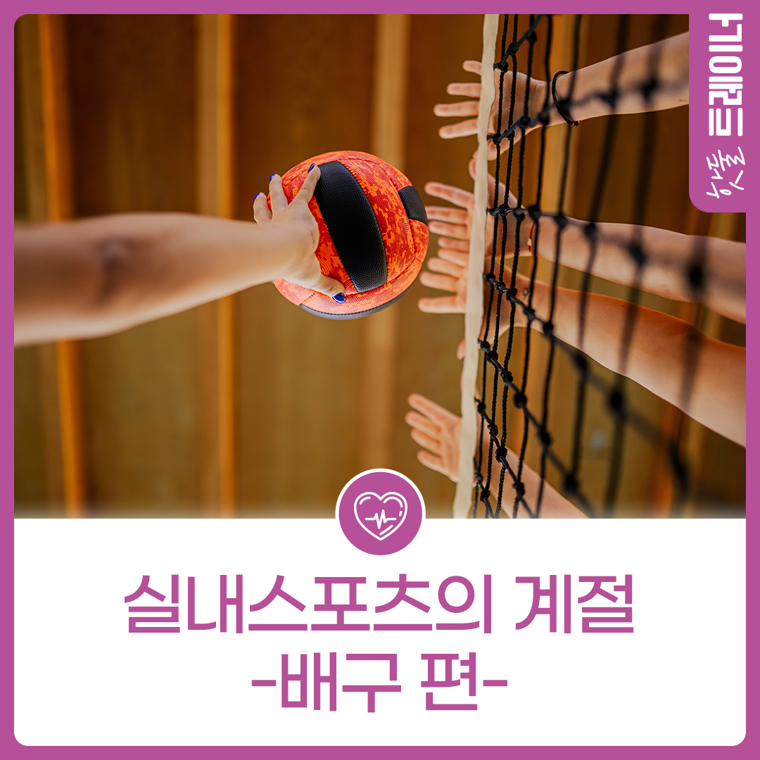 실내스포츠의 계절 -배구 편-이미지