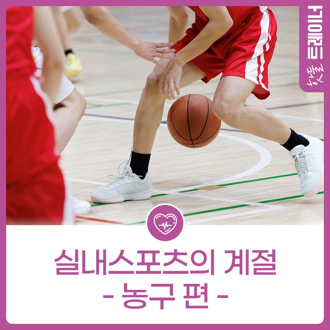 실내스포츠의 계절 – 농구 편 -