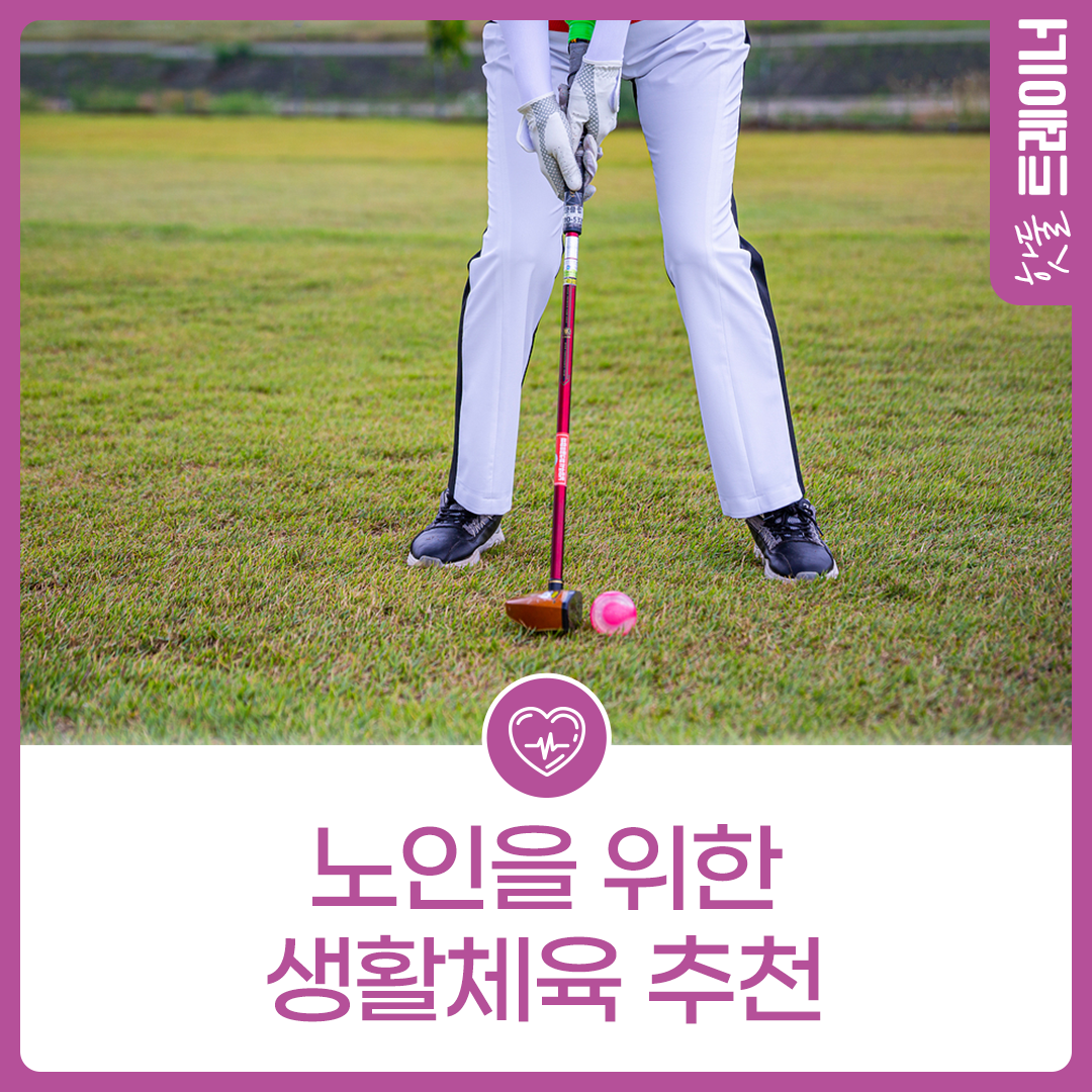 노인을 위한 생활체육 추천이미지