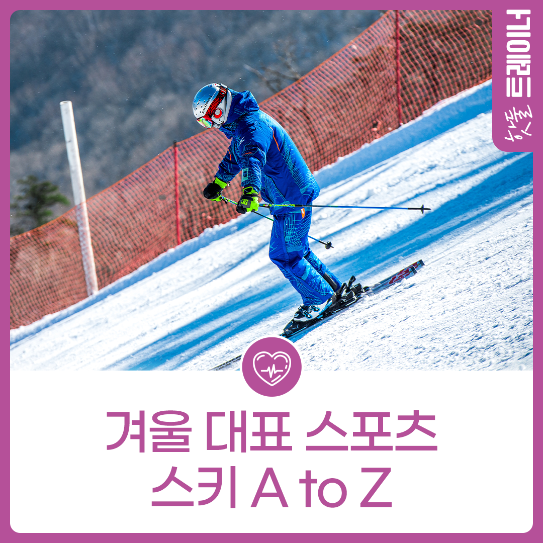 겨울 대표 스포츠 스키 A to Z이미지