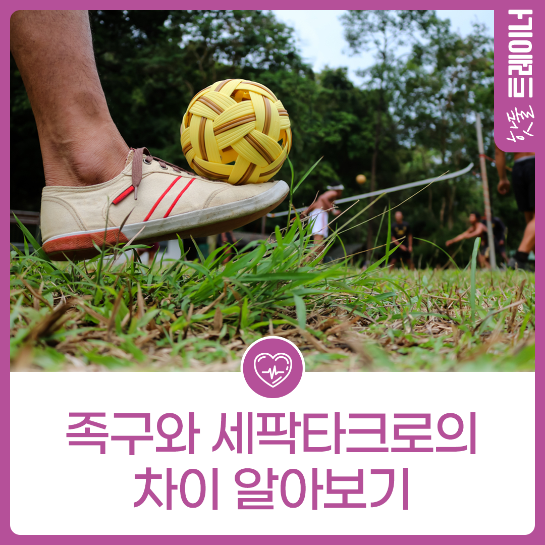 족구와 세팍타크로의 차이 알아보기이미지