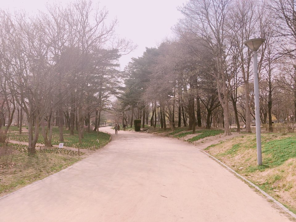서울숲길