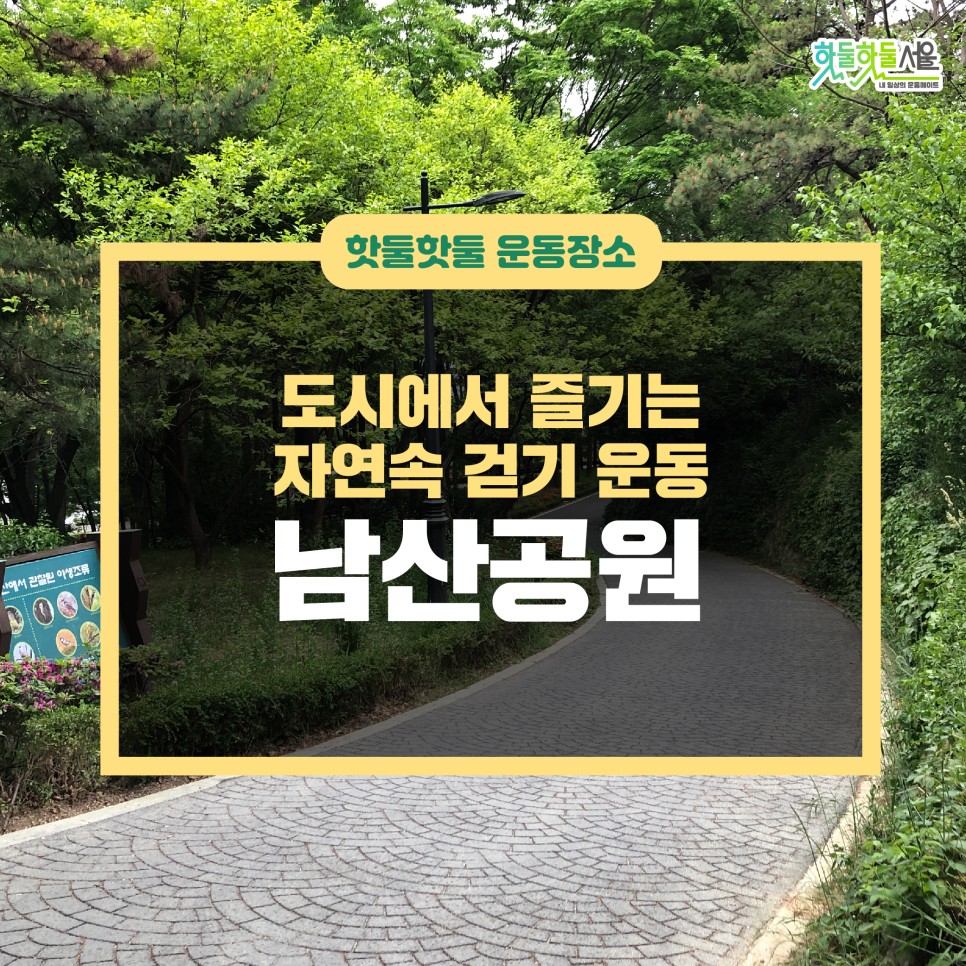 도시에서 즐기는 자연속 걷기 운동, 남산공원