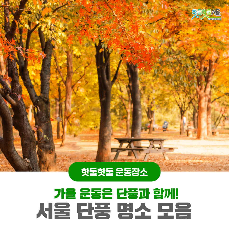 가을 운동은 단풍과 함께! 서울 단풍 명소 모음 