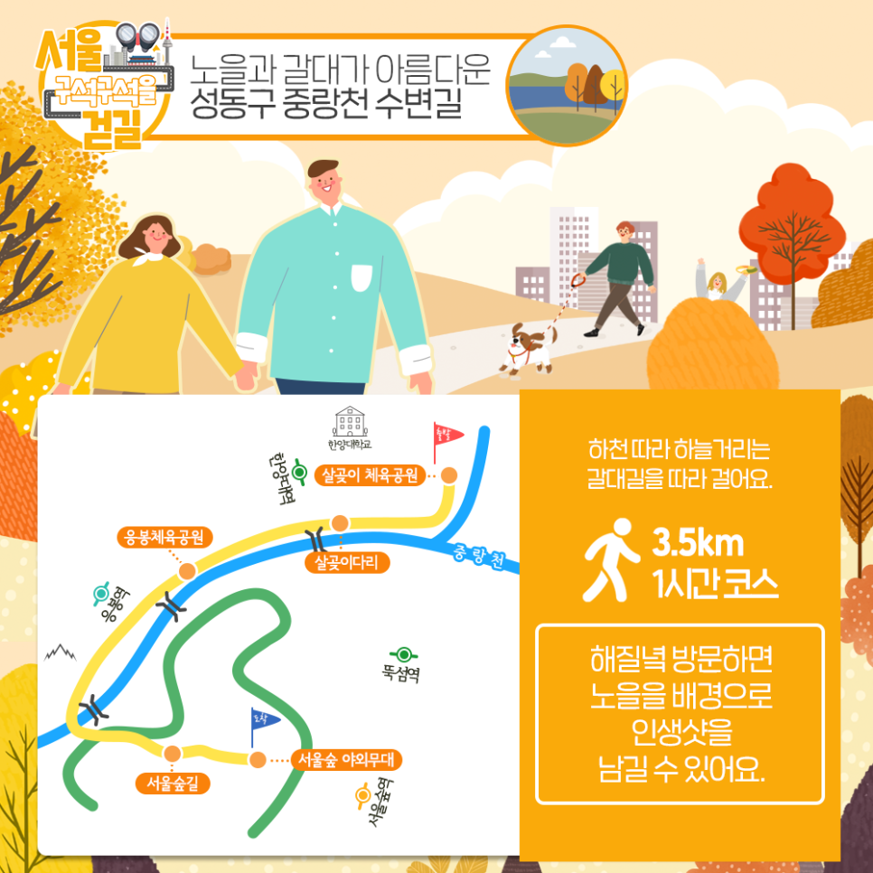[서울 구석구석을 걷길] 노을과 갈대가 아름다운 성동구 중랑천 수변길 하천따라 하늘거리는 갈대기를 따라 걸어요. 3.5km 1시간 코스 해질녘 방문하면 노을을 배경으로 인생샷을 남길 수 있어요.