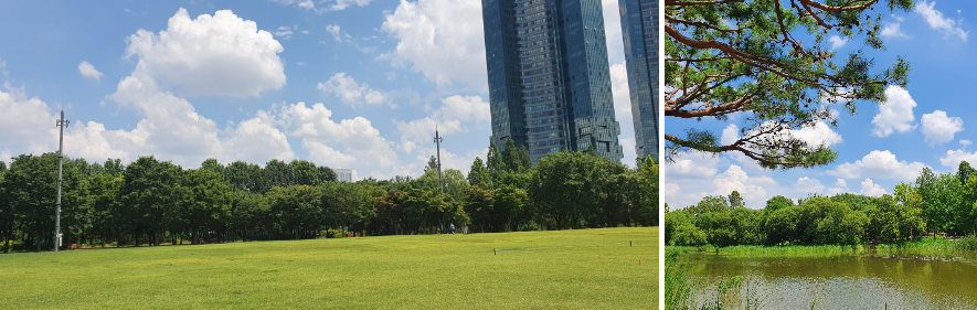 서울숲 잔디 이미지