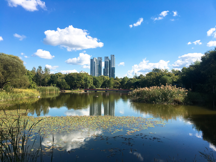 서울숲 호수 이미지
