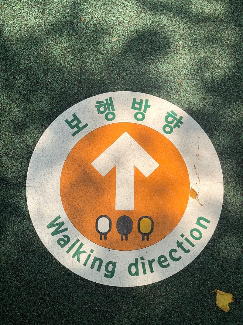 0.jpg