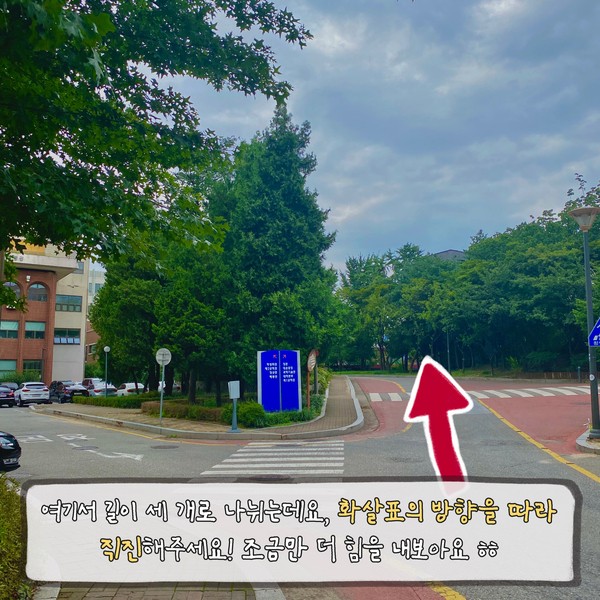 0.jpg