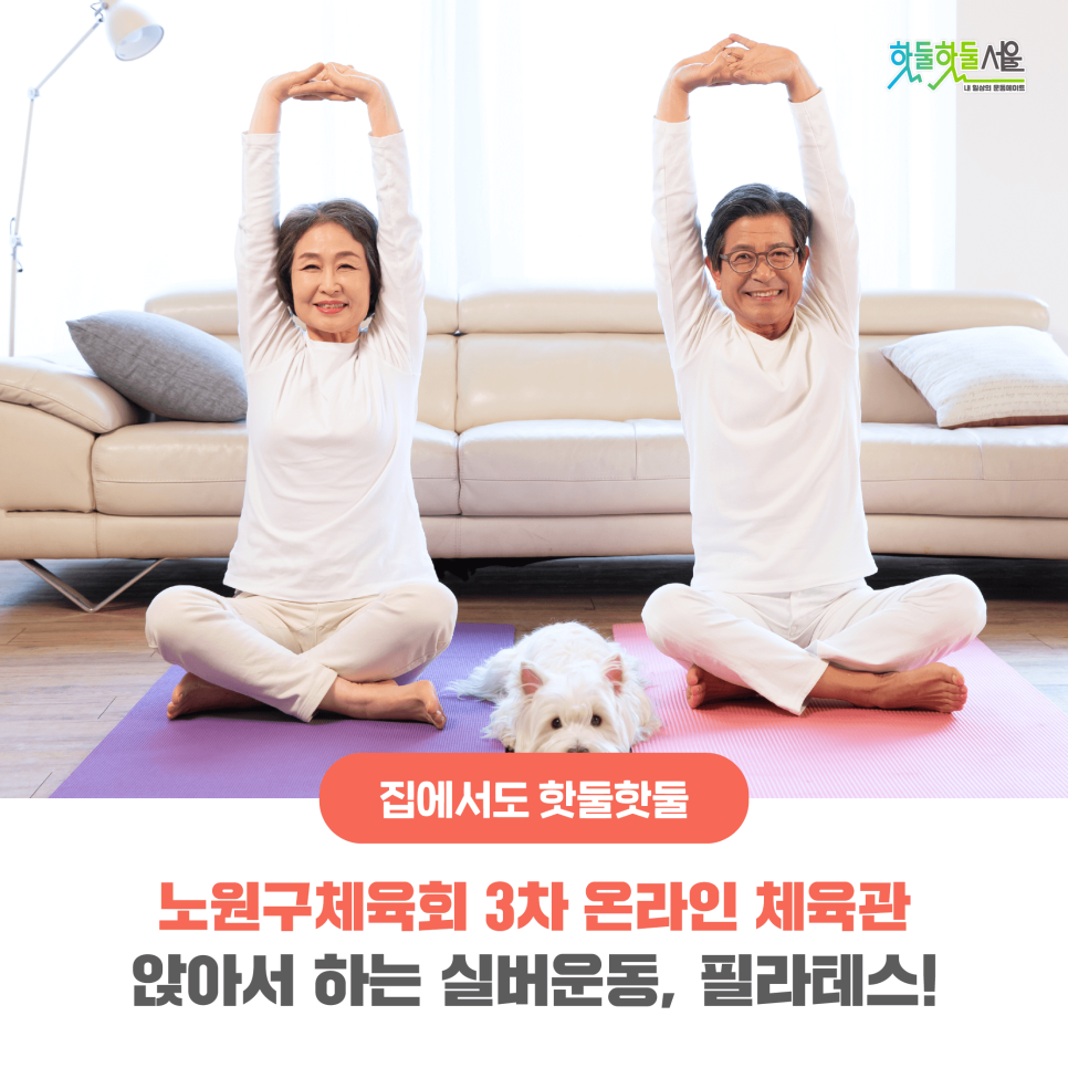 집에서도 핫둘핫둘 노원구체육회 3차 온라인 체육관 앉아서 하는 실버운동, 필라테스!