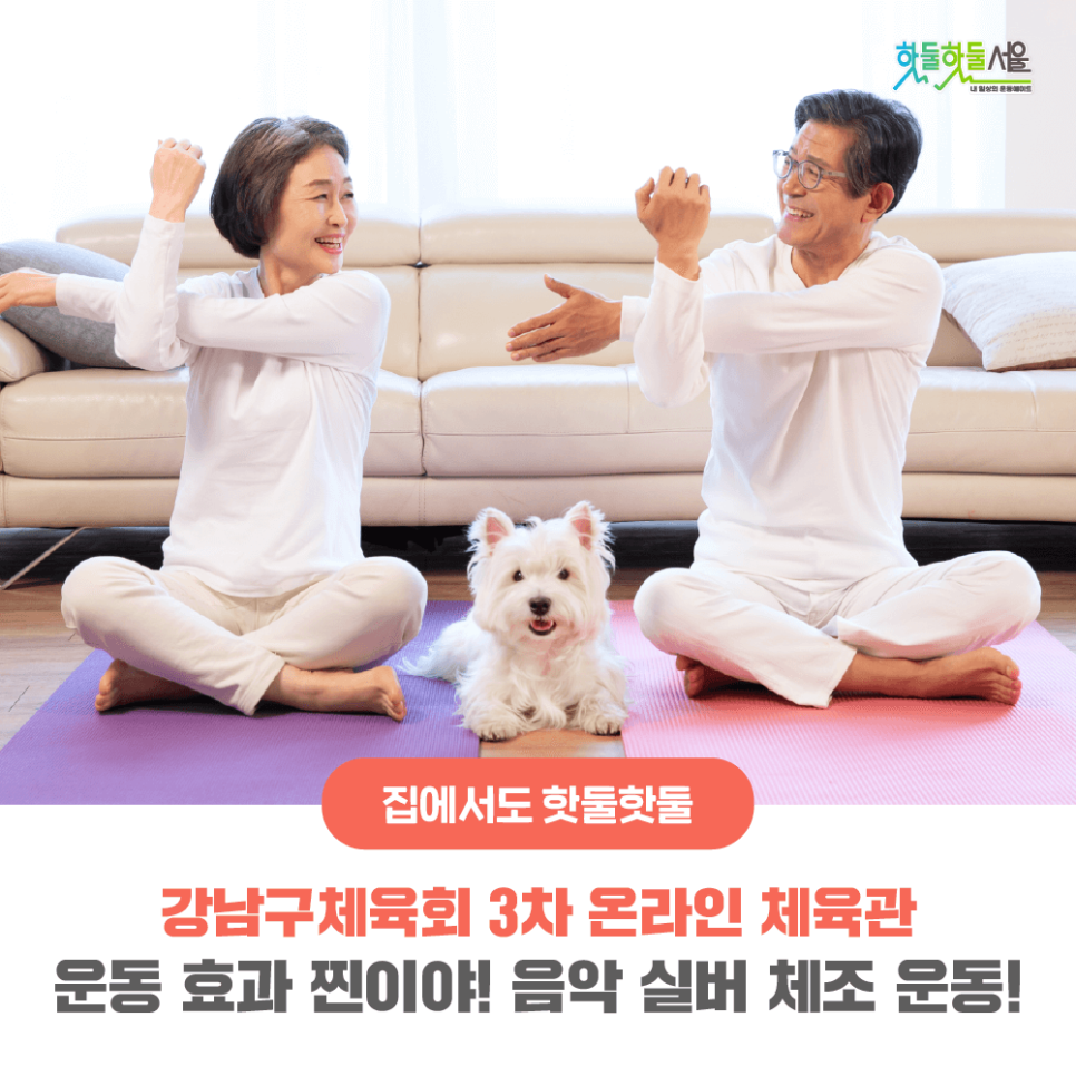 집에서도 핫둘핫둘 강남구체육회 3차 온라인 체육관 운동 효과 찐이야! 음악 실버 체조 운동!