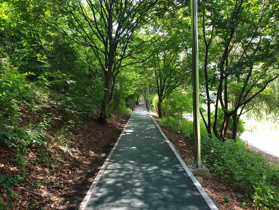 양재천 이미지2