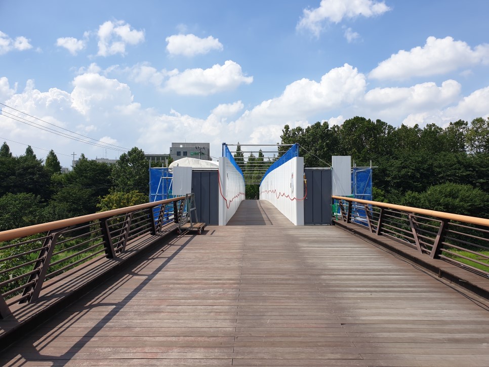 양재천 나무다리 이미지