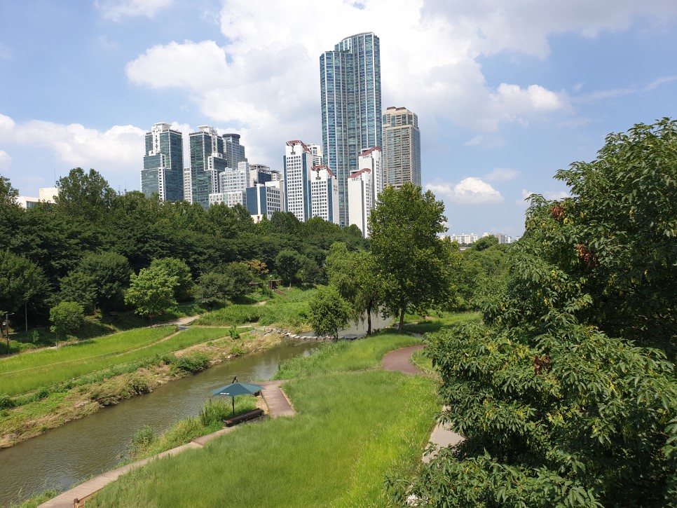 양재천 이미지5