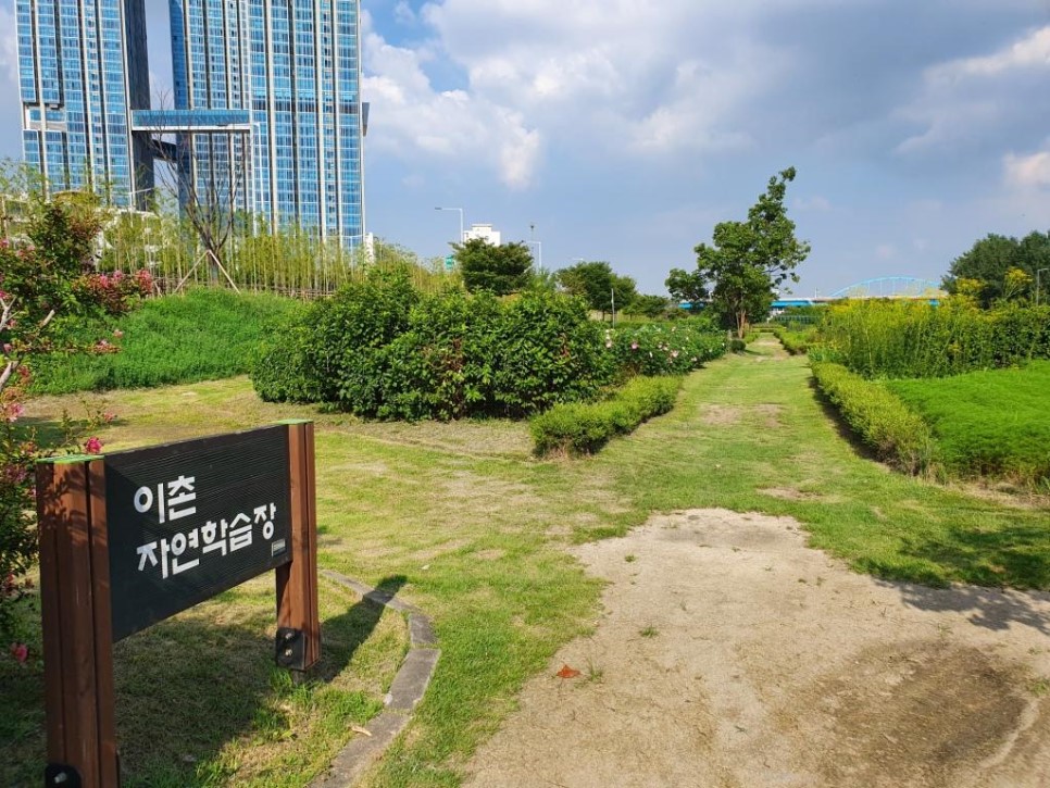 이촌 자연학습장 이미지