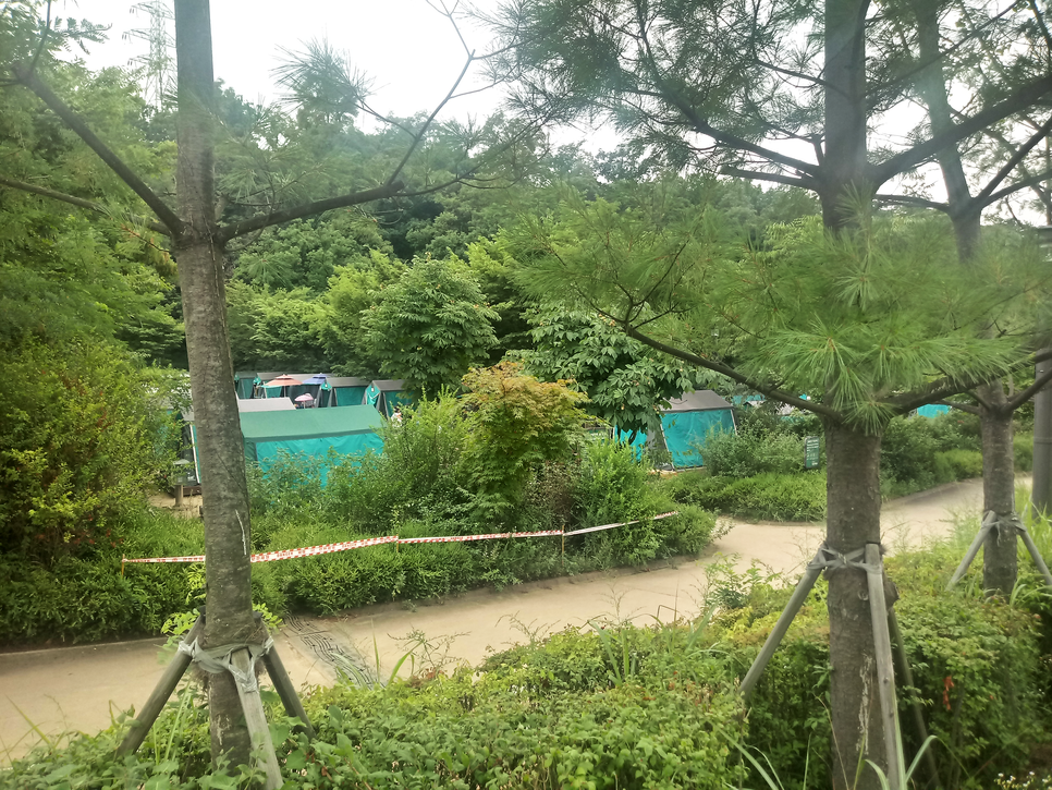 강동그린웨이 이미지3