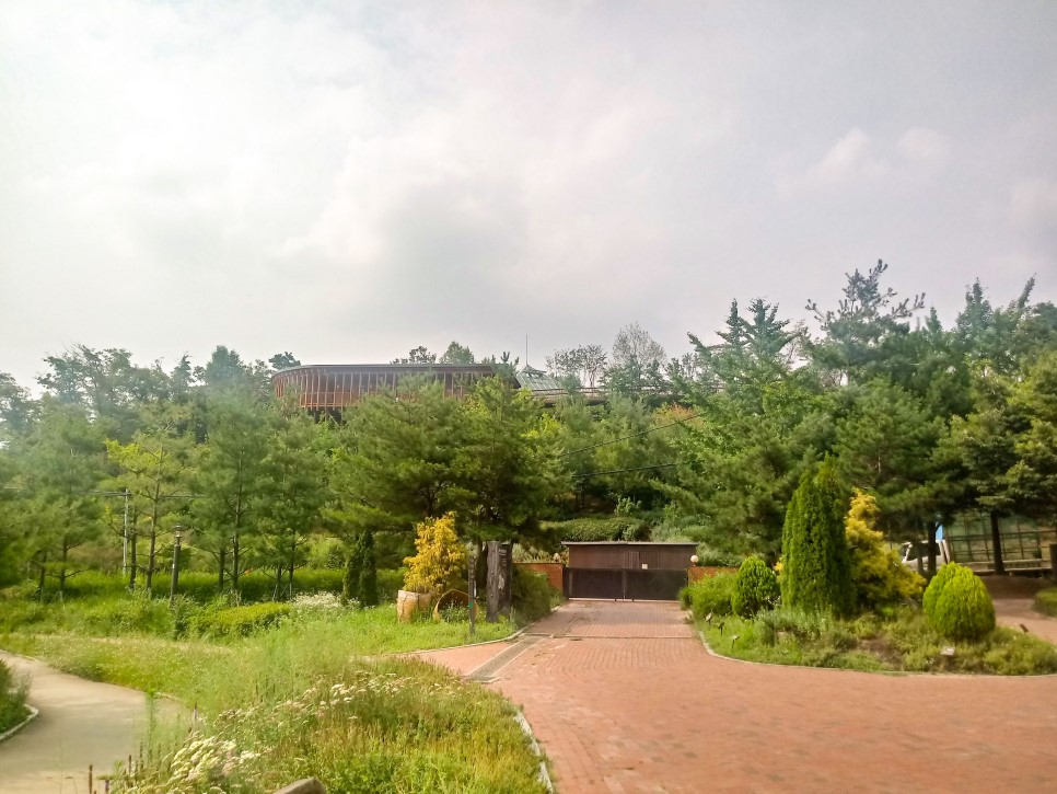 강동그린웨이 이미지4