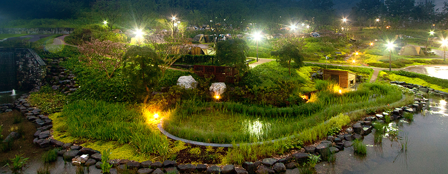 나무 및 풀 연못 이미지