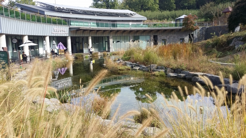 연못 및 갈대 이미지