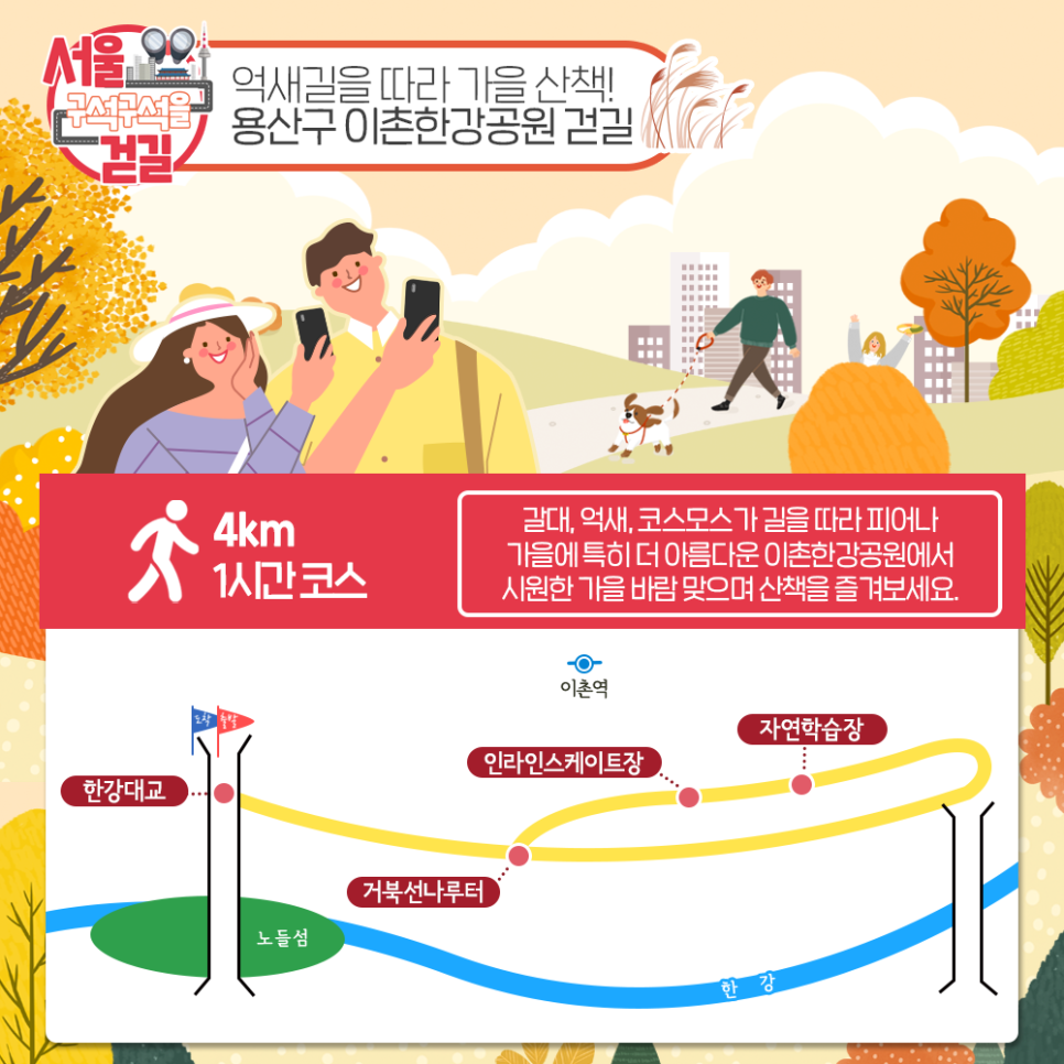 [서울 구석구석을 걷길] 억새길을 따라 가을 산책! 용산구 이촌한강공원 걷길 갈대, 억새, 코스모스가 길을 따라 피어나 가을에 특히 더 아름다운 이촌한강공원에서 시원한 가을 바람을 맞으며 산책을 즐겨보세요.