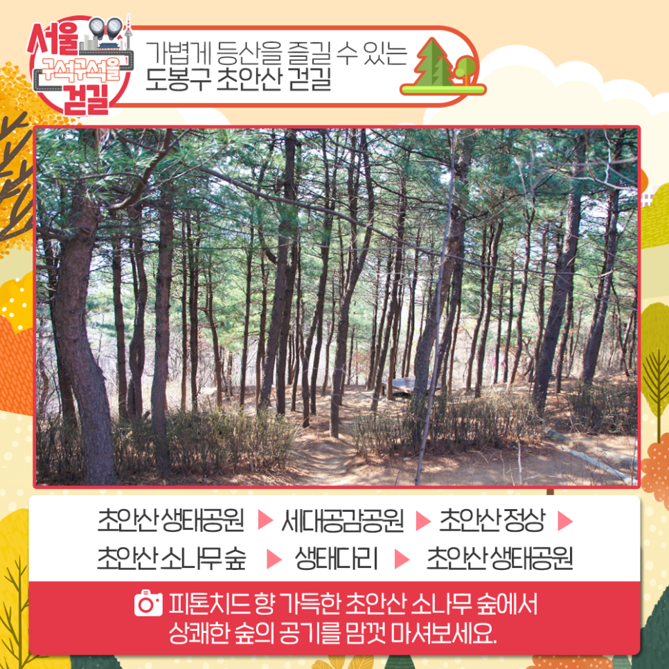 [서울 구석구석을 걷길] 가볍게 등산을 즐길 수 있는 도봉구 초안산 걷길 초안산 생태공원 > 세대공감공원 > 초안산 정상 > 초안산 소나무 숲 > 생태다리 > 초안산 생태공원 피톤치드 향 가득한 초안산 소나무 숲에서 상쾌한 숲의 공기를 맘껏 마셔보세요.