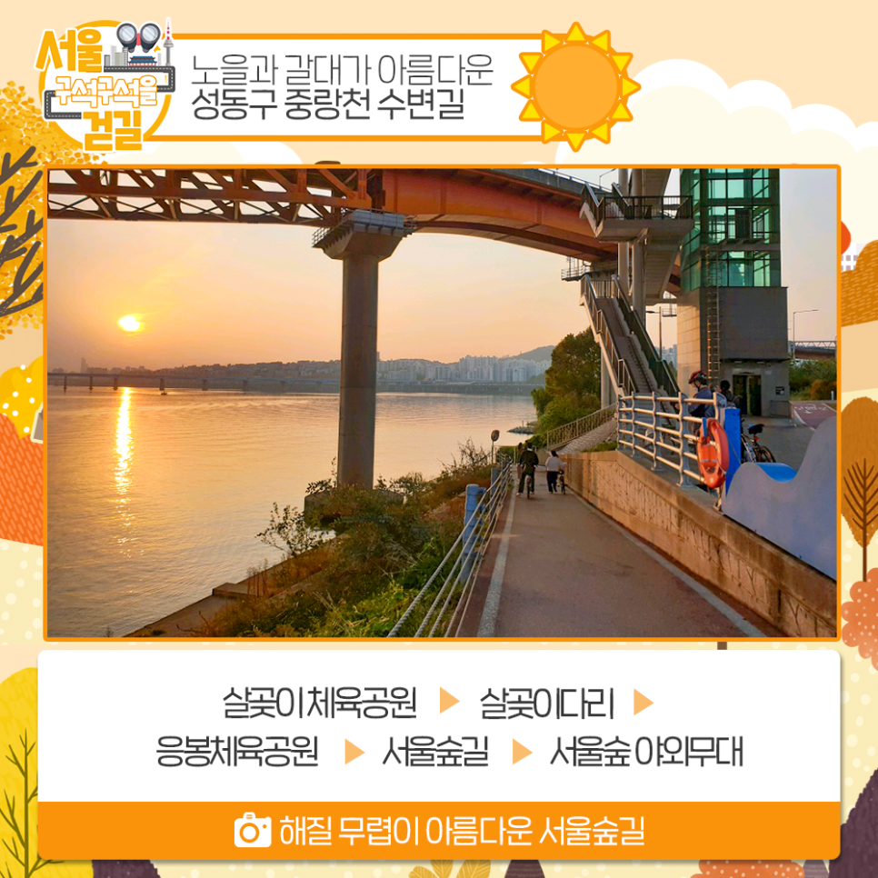 [서울 구석구석을 걷길] 노을과 갈대가 아름다운 성동구 중랑천 수변길 살곶이체육공원 > 살곶이다리 > 응봉체육공원 > 서울숲길 > 서울숲 야외무대 해질 무렵이 아름다운 서울숲길