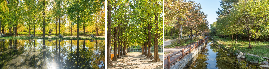 서울숲 내부 이미지