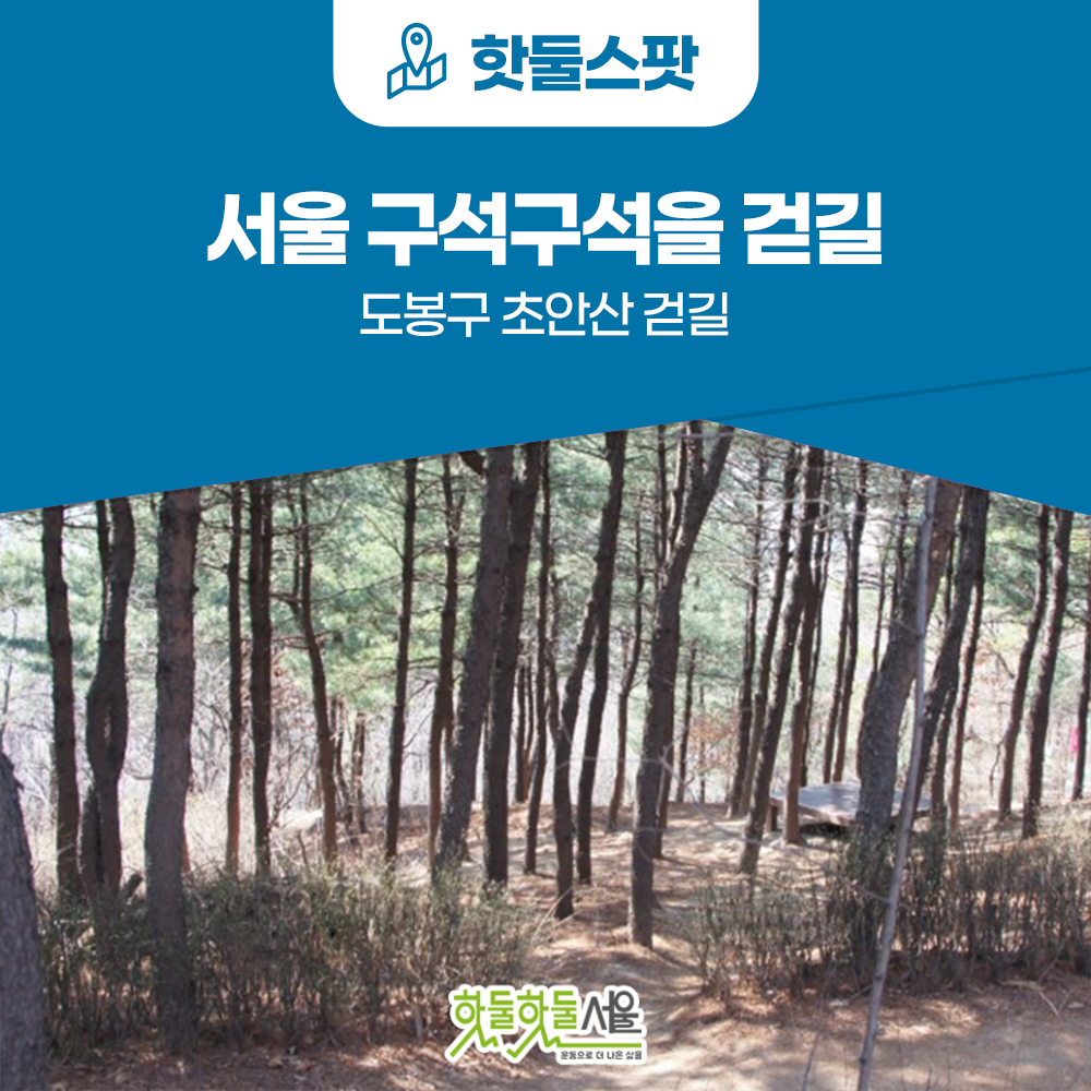 [서울 구석구석을 걷길] 가볍게 등산을 즐길 수 있는 도봉구 초안산 걷길