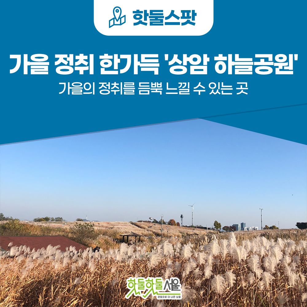 [신드롬원정대] 가을의 정취를 듬뿍 느낄 수 있는 '상암 하늘공원'