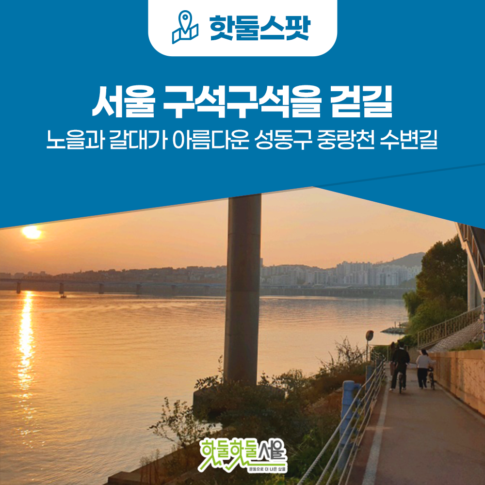 [서울 구석구석을 걷길] 노을과 갈대가 아름다운 성동구 중랑천 수변길