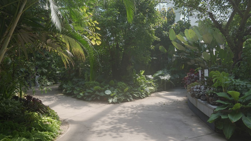 서울식물원 내부 이미지1