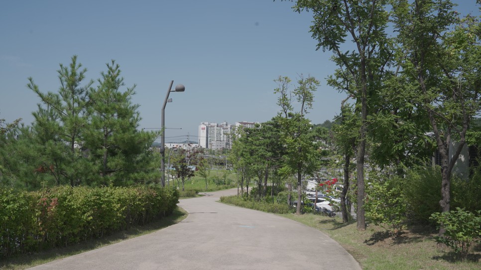 서울식물원 외부 길 이미지