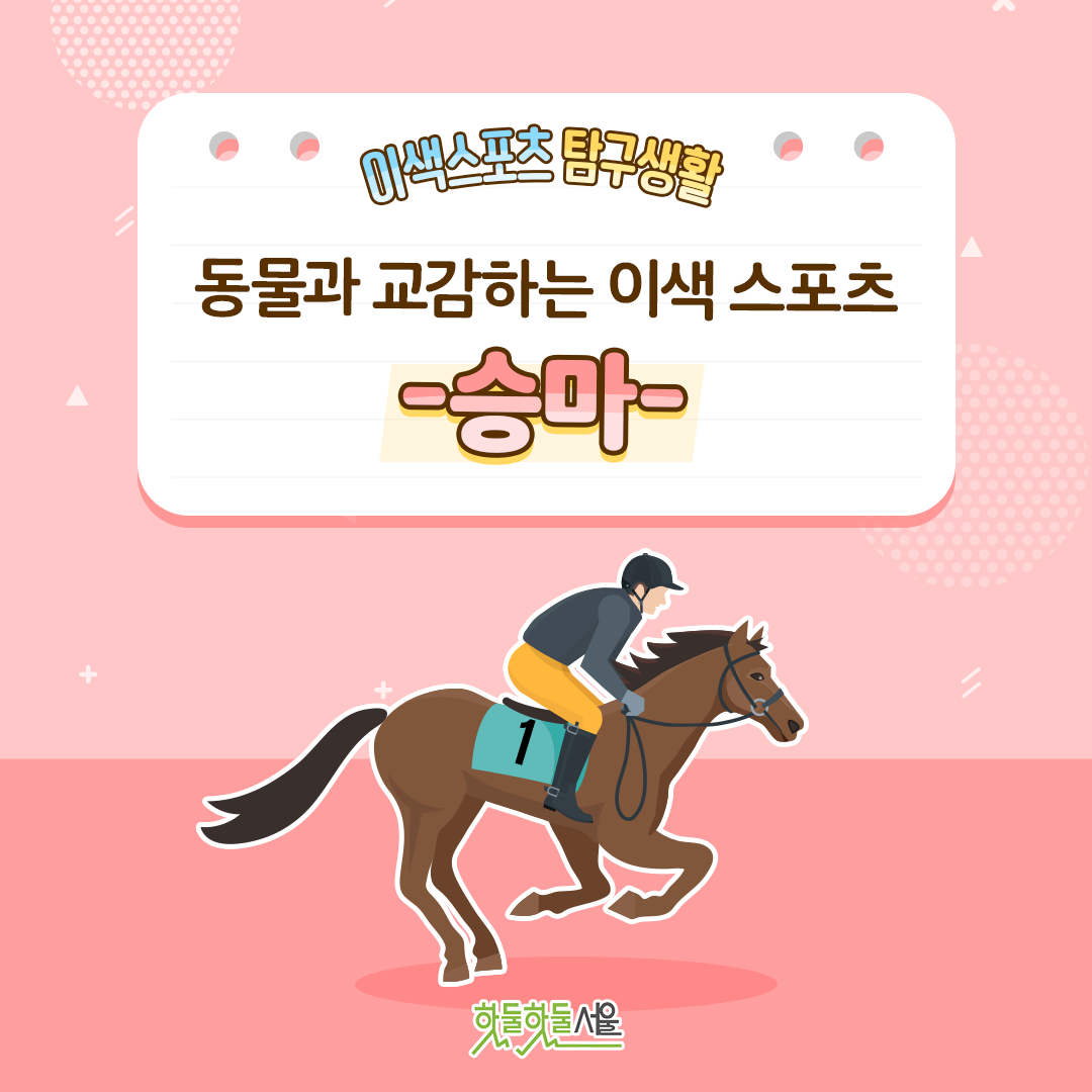 이색스포츠 탐구생활 동물과 교감하는 이색 스포츠 -승마-