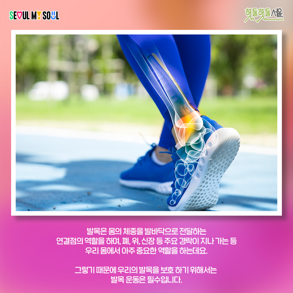 운동네컷 발목운동편 발목